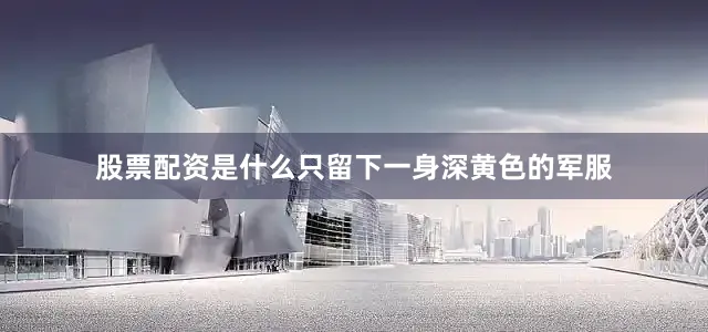 股票配资是什么只留下一身深黄色的军服