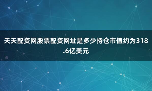 天天配资网股票配资网址是多少持仓市值约为318.6亿美元
